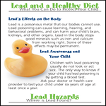 brochure_lead_and_healthy_diet